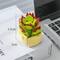 Wizardi Bear Boy Building Brick Mini Potted Plants Set